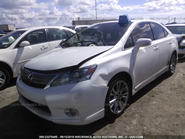 JTHBB1BA8A2026624 - 2010 LEXUS HS 250H WHITE photo 2