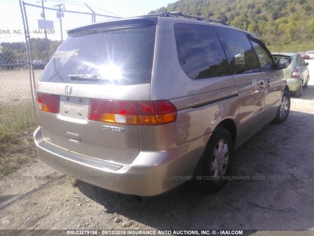 5FNRL18953B019852 - 2003 HONDA ODYSSEY EXL GOLD photo 4