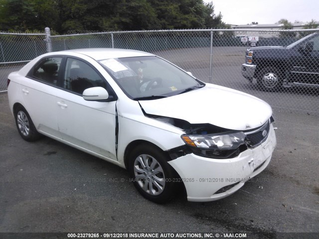 KNAFU4A27D5721931 - 2013 KIA FORTE EX WHITE photo 1