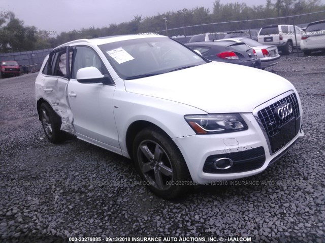 WA1DKAFPXBA093784 - 2011 AUDI Q5 PREMIUM PLUS WHITE photo 1