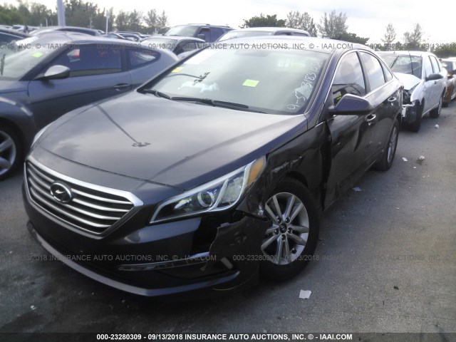 5NPE24AF0FH243183 - 2015 HYUNDAI SONATA SE Dark Brown photo 2