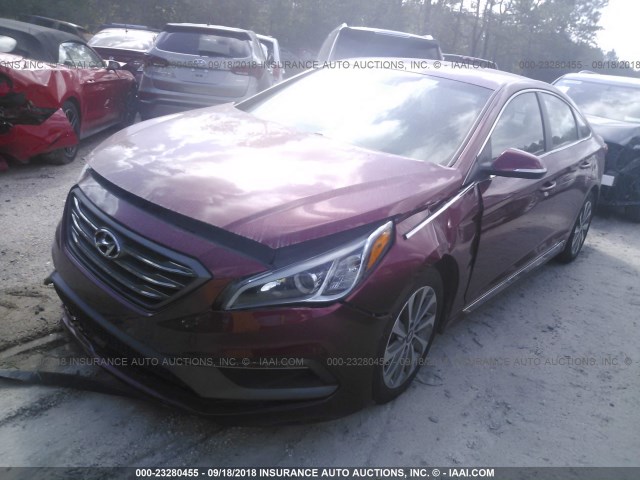 5NPE34AF2GH270433 - 2016 HYUNDAI SONATA SPORT/LIMITED RED photo 2