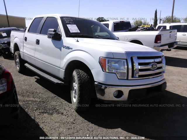 1FTFW1EF8CFB96296 - 2012 FORD F150 SUPERCREW WHITE photo 1