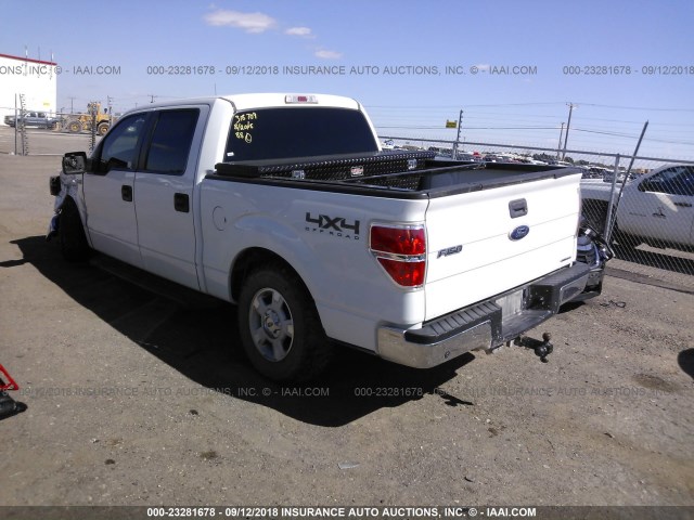 1FTFW1EF8CFB96296 - 2012 FORD F150 SUPERCREW WHITE photo 3