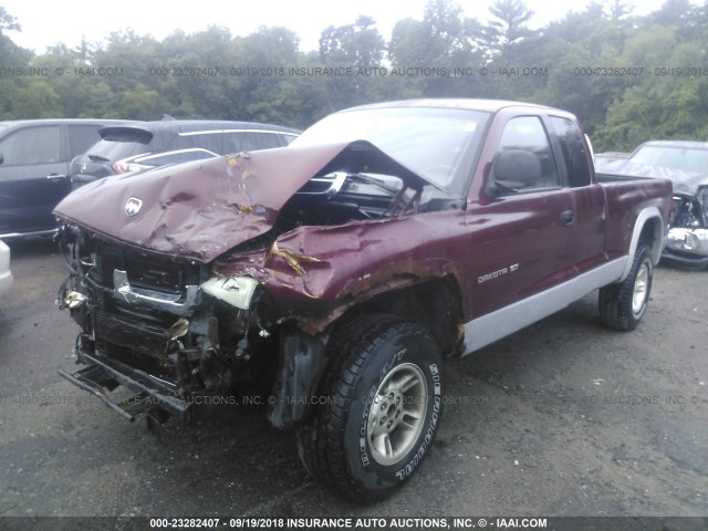 1B7GG22N6YS561317 - 2000 DODGE DAKOTA MAROON photo 2