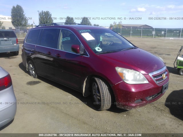 5FNRL38795B044377 - 2005 HONDA ODYSSEY EXL RED photo 1