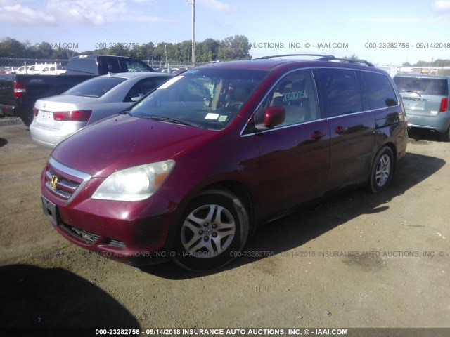 5FNRL38795B044377 - 2005 HONDA ODYSSEY EXL RED photo 2