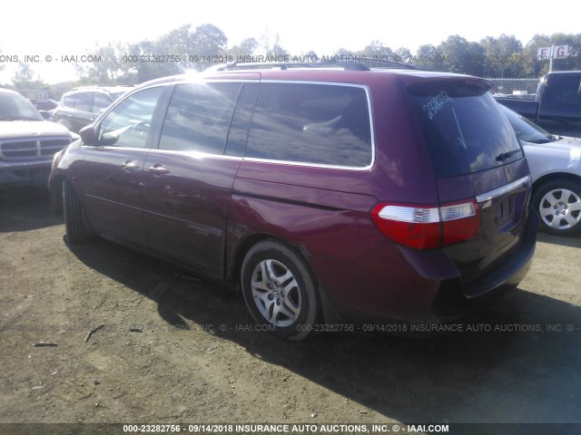 5FNRL38795B044377 - 2005 HONDA ODYSSEY EXL RED photo 3