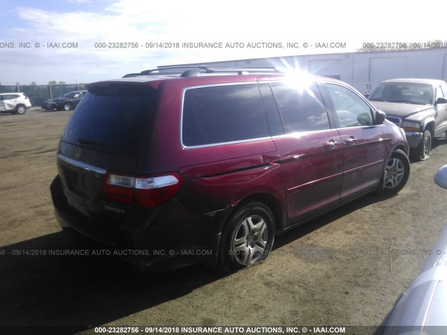 5FNRL38795B044377 - 2005 HONDA ODYSSEY EXL RED photo 4