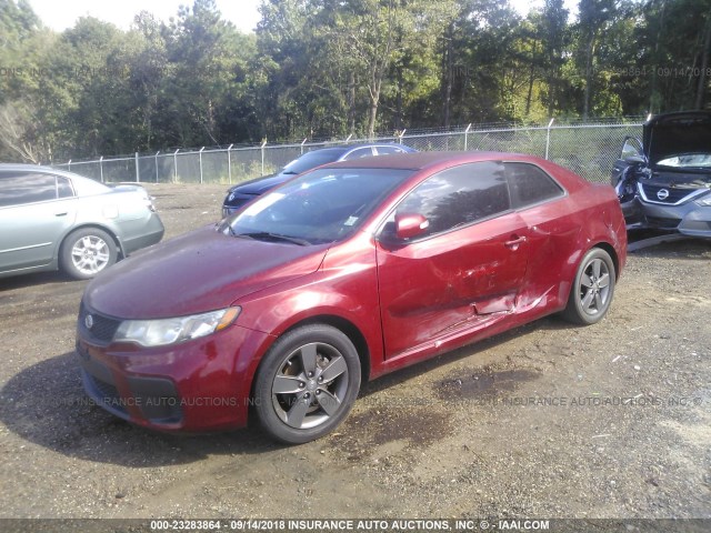 KNAFU6A29A5309341 - 2010 KIA FORTE EX MAROON photo 2