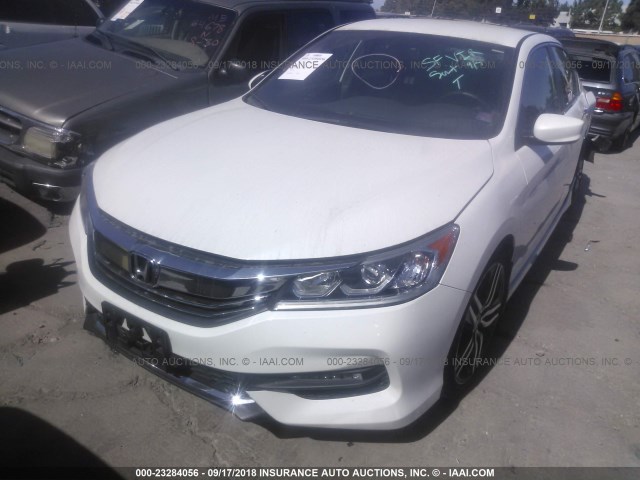 1HGCR2F19HA107733 - 2017 HONDA ACCORD SPORT SPECIAL EDITION WHITE photo 2