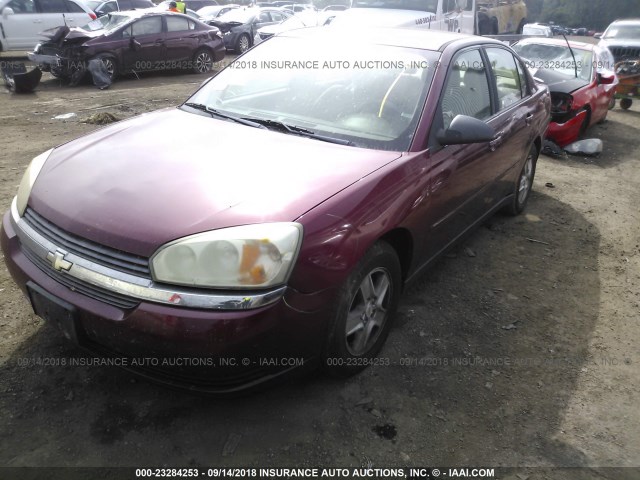 1G1ZT54895F203865 - 2005 CHEVROLET MALIBU LS 栗色 照片 2