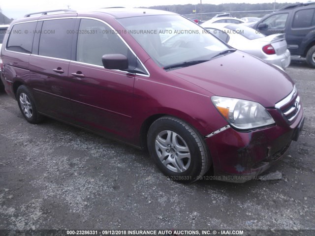 5FNRL387X6B044891 - 2006 HONDA ODYSSEY EXL MAROON photo 1