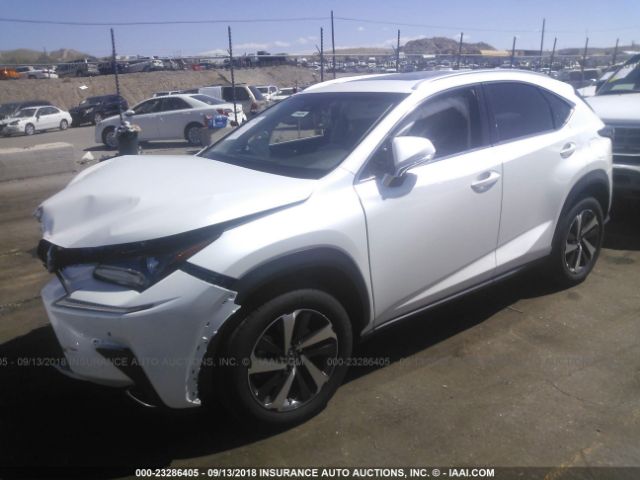 JTJBARBZ7J2177654 - 2018 LEXUS NX 300/BASE/F SPORT WHITE photo 2