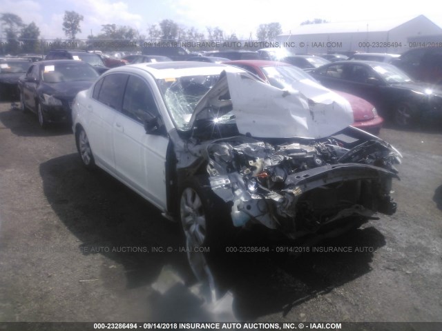 1HGCP2F87AA131747 - 2010 HONDA ACCORD EXL WHITE photo 1