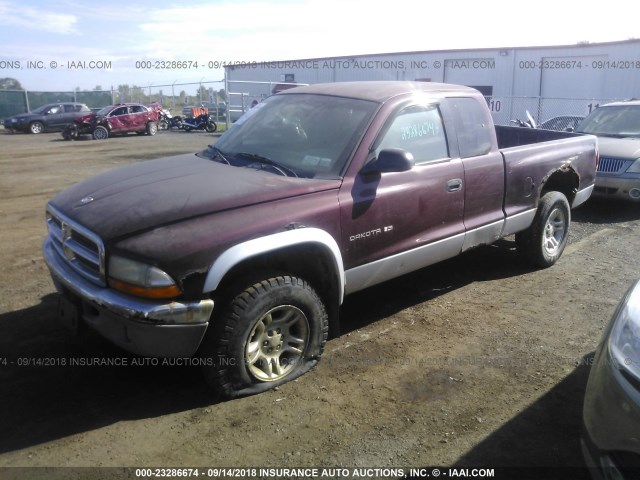 1B7GG22XX1S126713 - 2001 DODGE DAKOTA MAROON photo 2