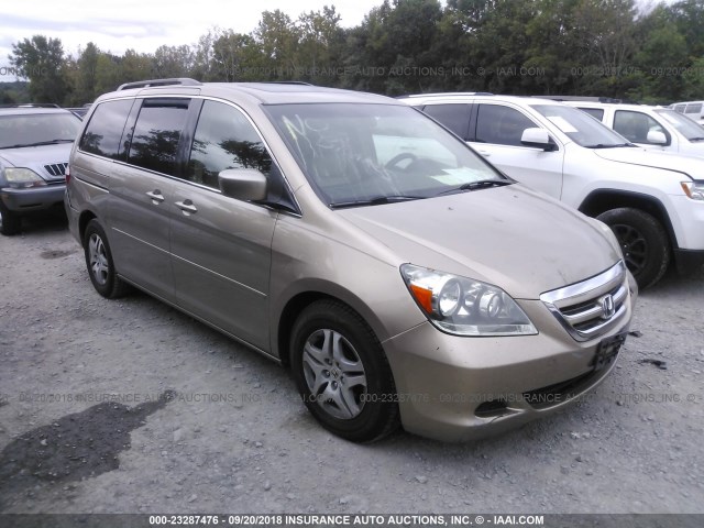 5FNRL38715B121954 - 2005 HONDA ODYSSEY EXL TAN photo 1