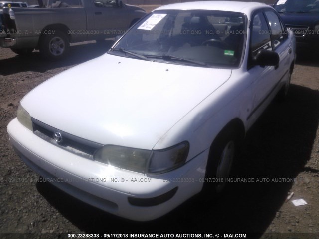 1NXAE09B3SZ344231 - 1995 TOYOTA COROLLA LE/DX 白色 照片 6