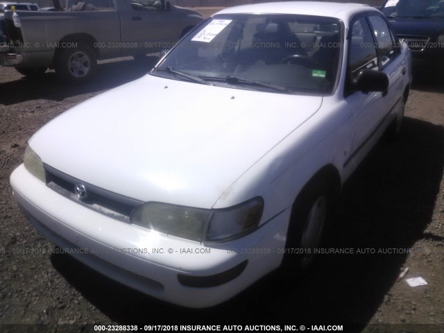 1NXAE09B3SZ344231 - 1995 TOYOTA COROLLA LE/DX WHITE photo 6