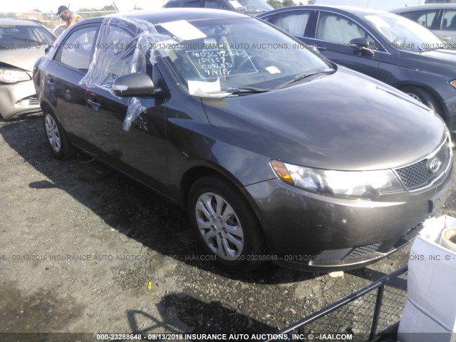 KNAFU4A28A5850241 - 2010 KIA FORTE EX BROWN photo 1