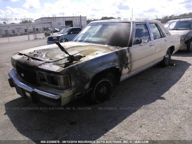 2FABP74F7KX233749 - 1989 FORD CROWN VICTORIA LX CREAM photo 2