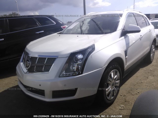 3GYFNDEY5AS576964 - 2010 CADILLAC SRX LUXURY COLLECTION WHITE photo 2