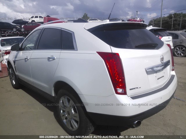 3GYFNDEY5AS576964 - 2010 CADILLAC SRX LUXURY COLLECTION WHITE photo 3