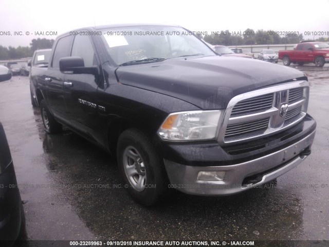 1C6RD7LT0CS239901 - 2012 DODGE RAM 1500 SLT BLACK photo 1