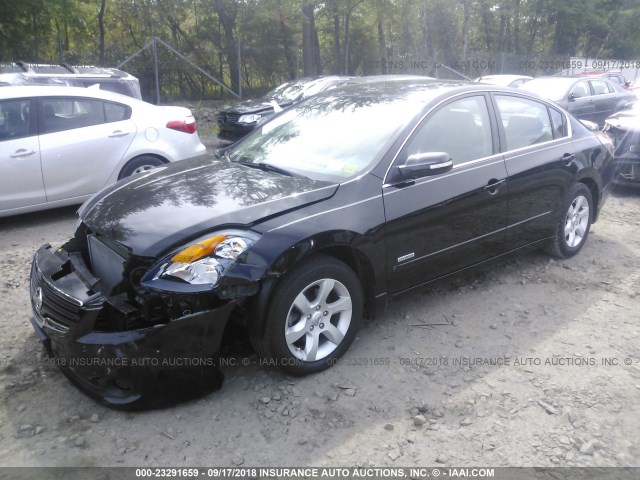 1N4CL21E79C121247 - 2009 NISSAN ALTIMA HYBRID BLACK photo 2