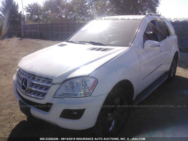 4JGBB8GB2BA645847 - 2011 MERCEDES-BENZ ML 350 4MATIC WHITE photo 2