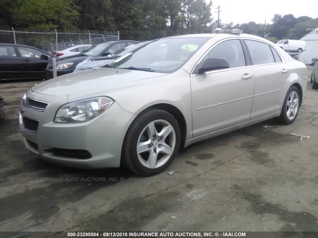 1G1ZA5E10BF187543 - 2011 CHEVROLET MALIBU LS ოქროსფერი ფოტო 2
