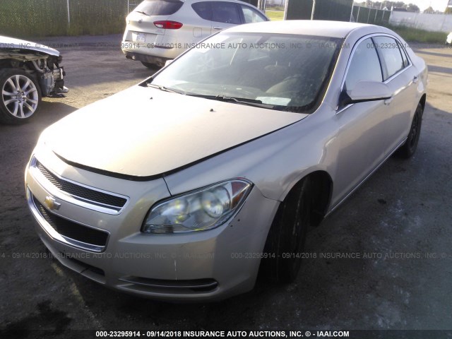1G1ZC5E01AF234059 - 2010 CHEVROLET MALIBU 1LT ოქროსფერი ფოტო 2