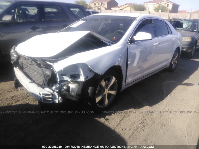 1G1ZC5E14BF249570 - 2011 CHEVROLET MALIBU 1LT თეთრი ფოტო 2
