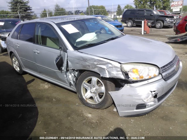 1G1ZU648X4F169629 - 2004 CHEVROLET MALIBU MAXX LT SILVER photo 1