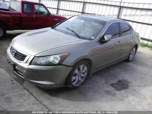 JHMCP26848C070546 - 2008 HONDA ACCORD EXL GOLD photo 2