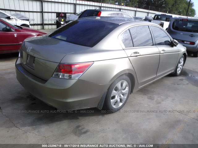 JHMCP26848C070546 - 2008 HONDA ACCORD EXL GOLD photo 4