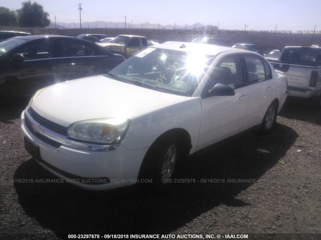 1G1ZT54845F159113 - 2005 CHEVROLET MALIBU LS WHITE photo 2