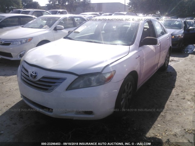 4T1BB46K88U045447 - 2008 TOYOTA CAMRY HYBRID WHITE photo 2