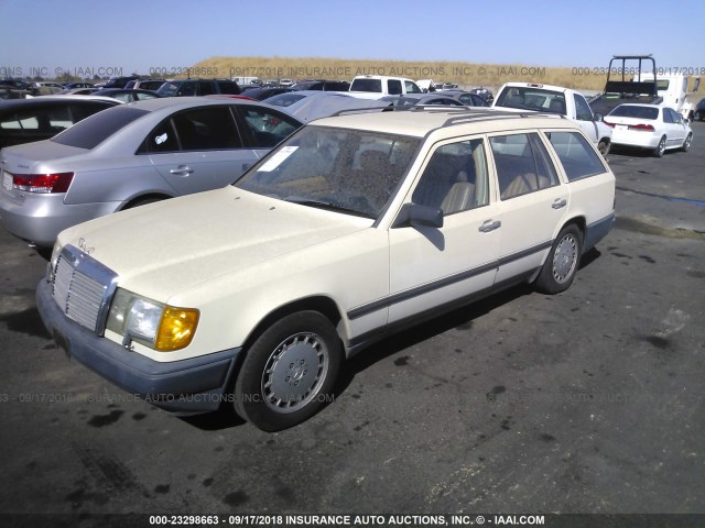 WDBEA90D9JF074489 - 1988 MERCEDES-BENZ 300 TE CREAM photo 2