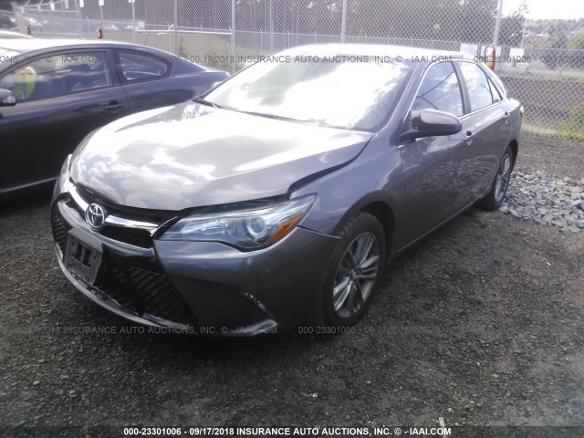 4T1BF1FK8HU445737 - 2017 TOYOTA CAMRY LE/XLE/SE/XSE 灰色 照片 2