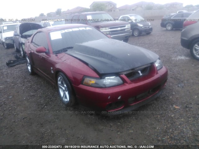 1FAFP48Y34F115529 - 2004 FORD MUSTANG COBRA SVT RED photo 1