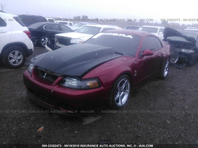 1FAFP48Y34F115529 - 2004 FORD MUSTANG COBRA SVT RED photo 2