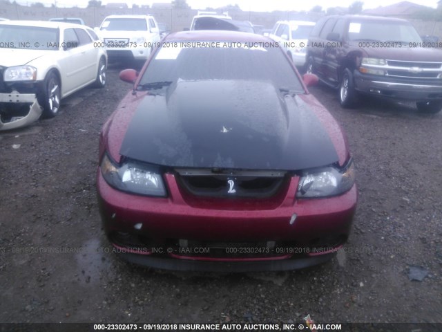 1FAFP48Y34F115529 - 2004 FORD MUSTANG COBRA SVT RED photo 6