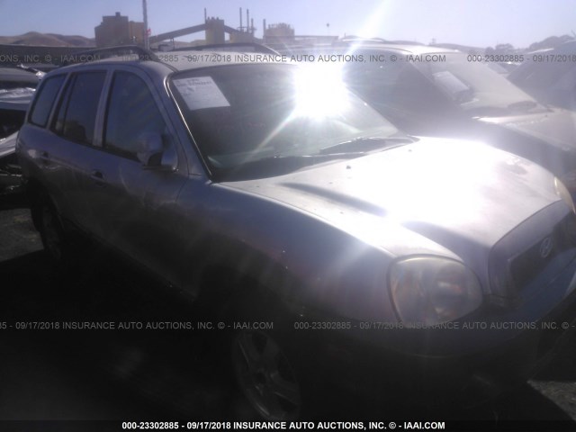 KM8SC13DX3U406431 - 2003 HYUNDAI SANTA FE SILVER photo 1