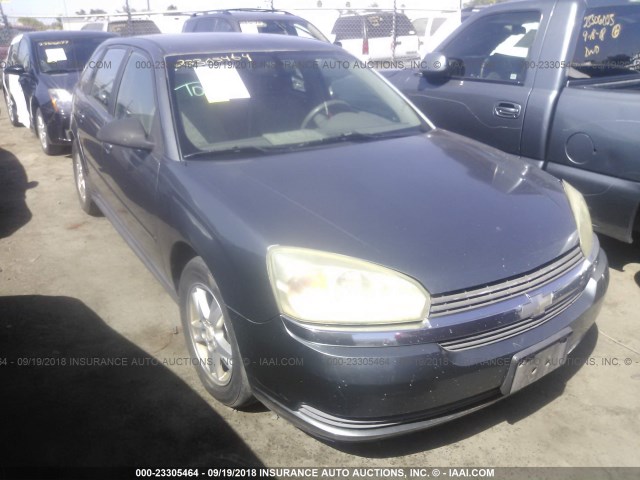 1G1ZT62865F128843 - 2005 CHEVROLET MALIBU MAXX LS 绿色 照片 1