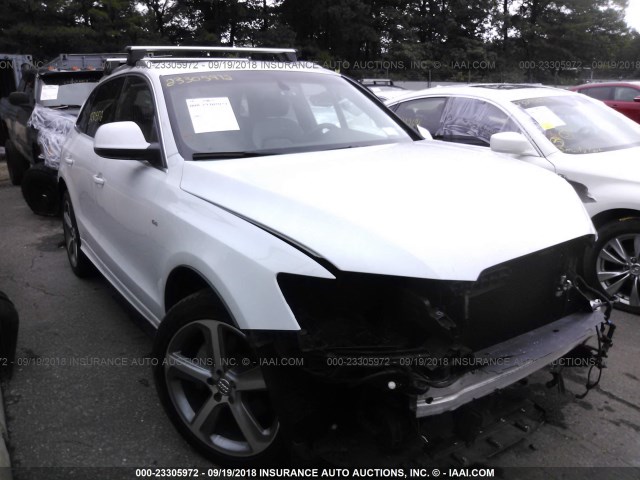 WA1DGAFP5DA097892 - 2013 AUDI Q5 PREMIUM PLUS WHITE photo 1