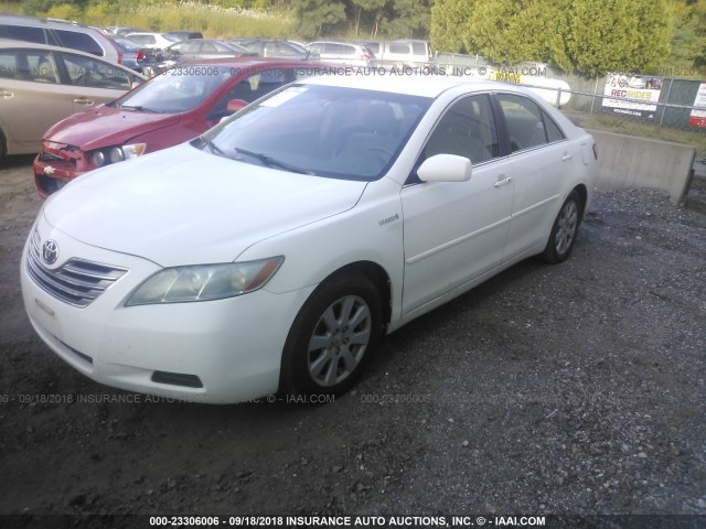 4T1BB46K67U020836 - 2007 TOYOTA CAMRY NEW GENERATION HYBRID WHITE photo 2