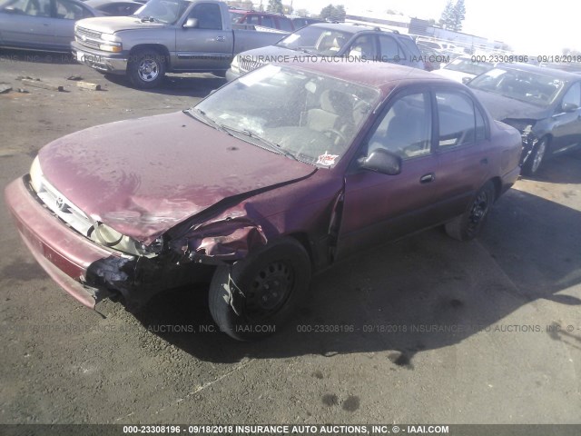 1NXAE09B3SZ282765 - 1995 TOYOTA COROLLA LE/DX BURGUNDY photo 2