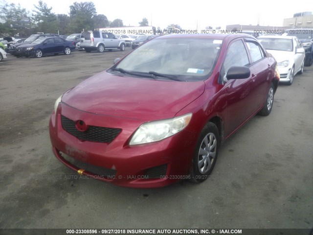JTDBL40E199055780 - 2009 TOYOTA COROLLA LE/XLE RED photo 2