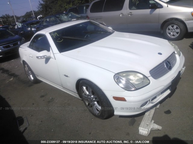 WDBKK65F14F308413 - 2004 MERCEDES-BENZ SLK 320 WHITE photo 1